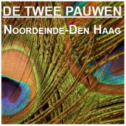 Galerie de Twee Pauwen