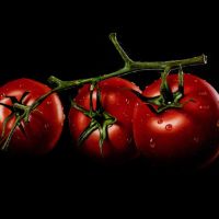 Tomaten Sjoerd Stellingwerf